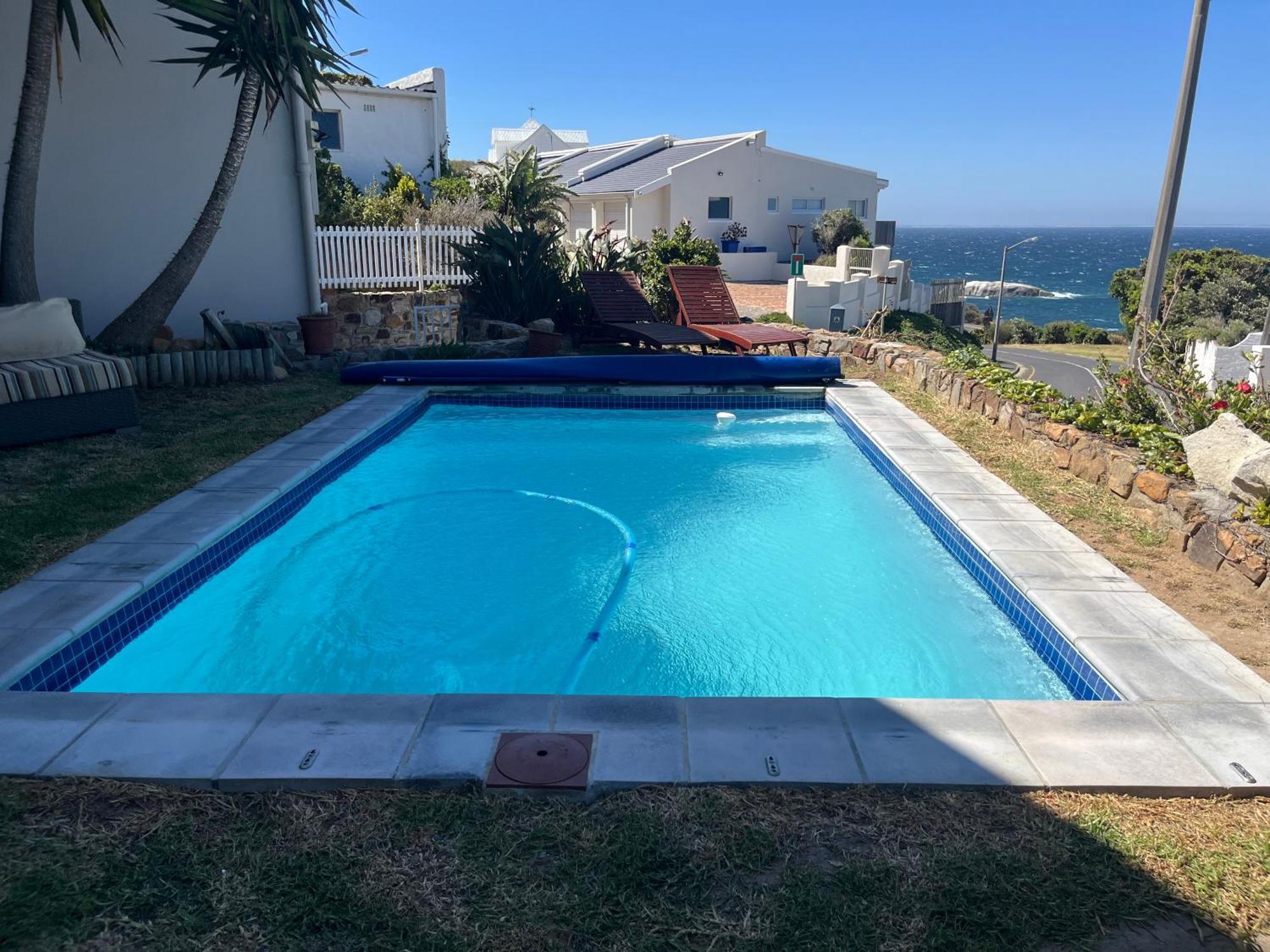 Simons Town Penquins Le Cap